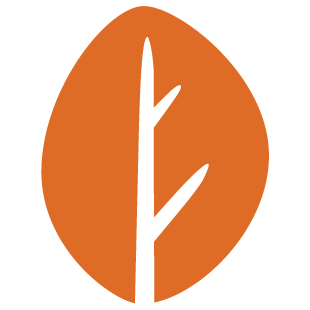 joyplayarena.com favicon